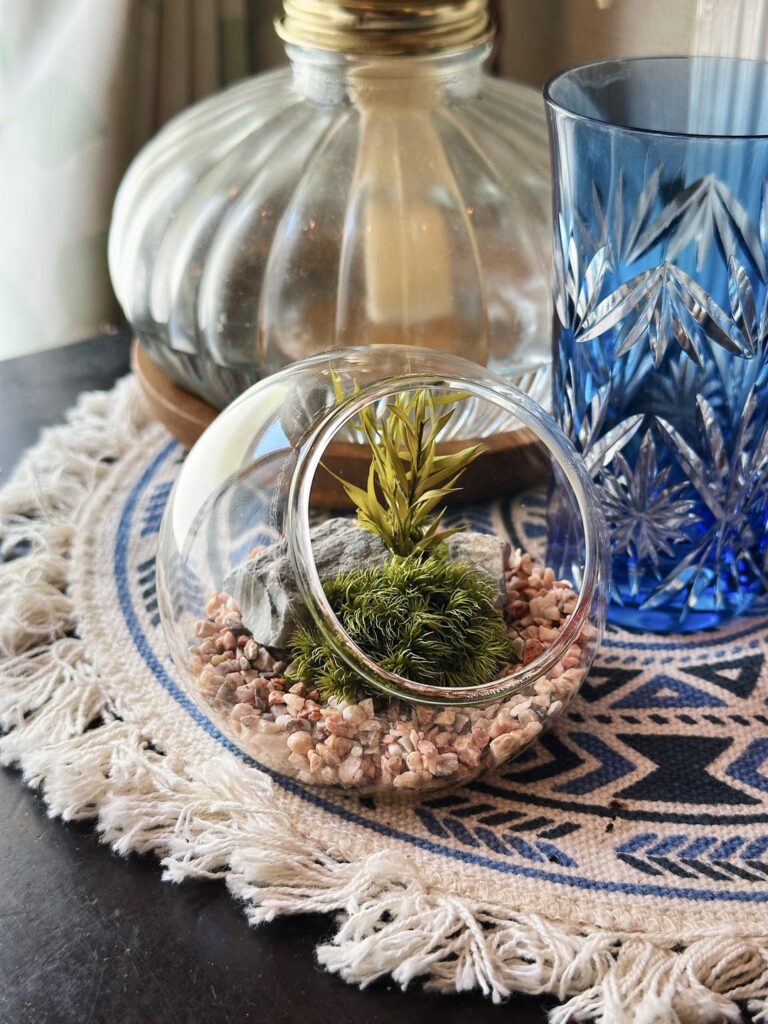 Got this tiny terrarium from a friend. She says I don’t have to water it at all. Really though?