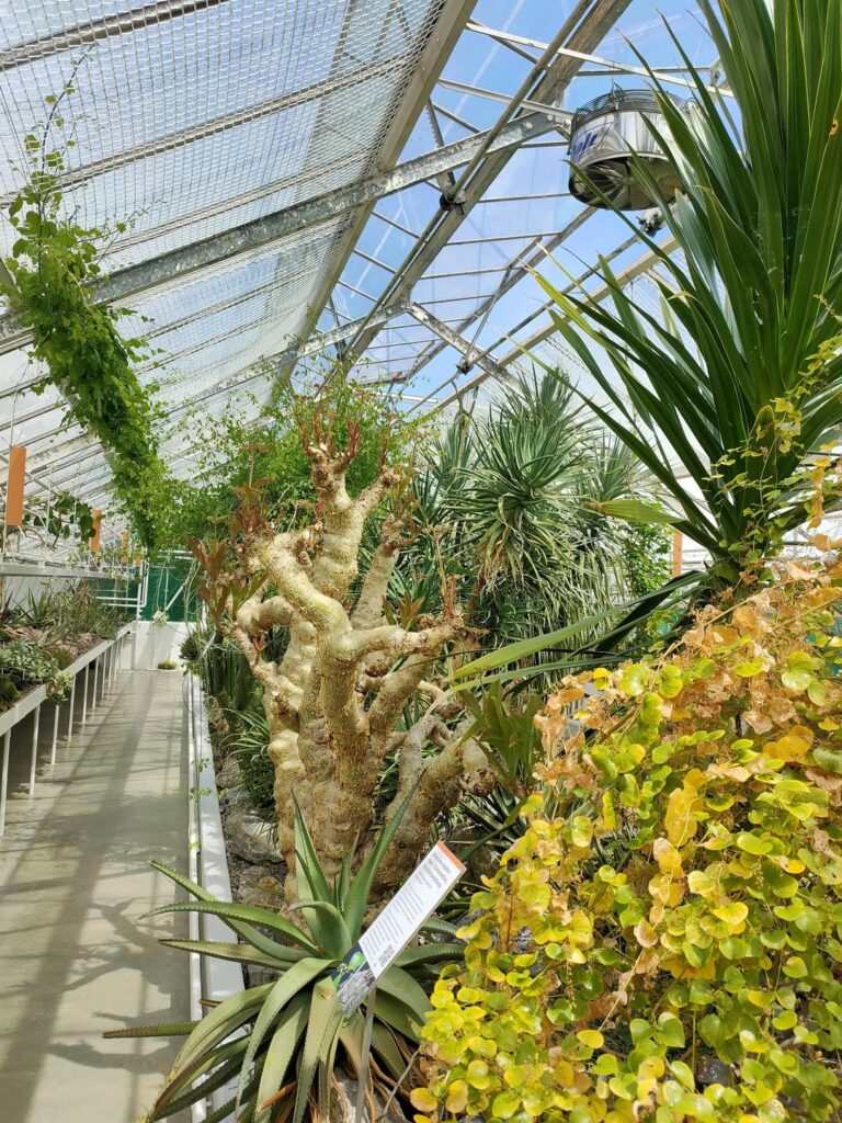 My favorite place in Zürich (Sukki)