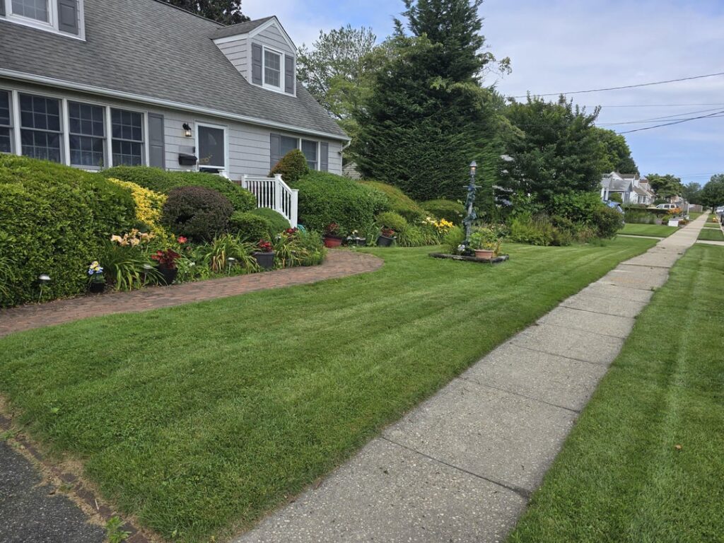Mowed the lawn for grandma today