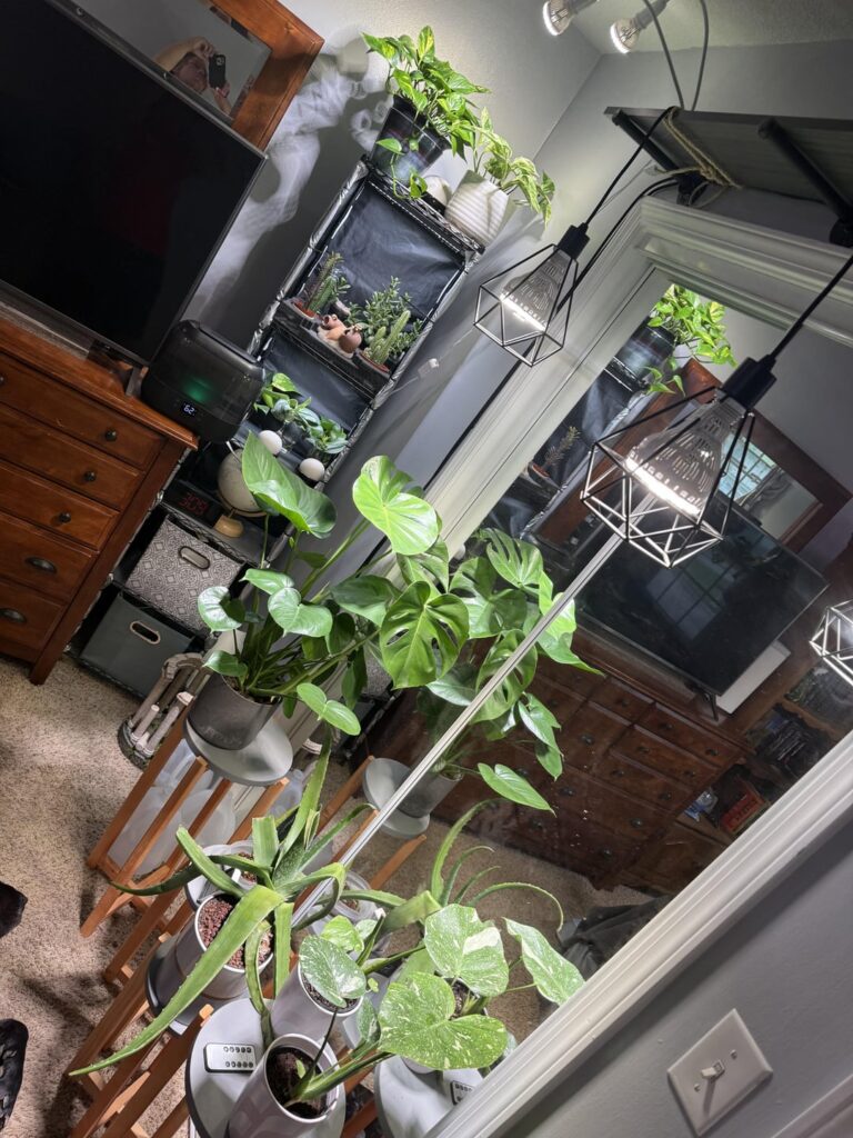 Somebody help…it all happened so quick…4 months ago I didn’t have a single plant😅😂