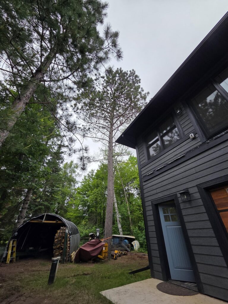 Is this a danger to this tree?