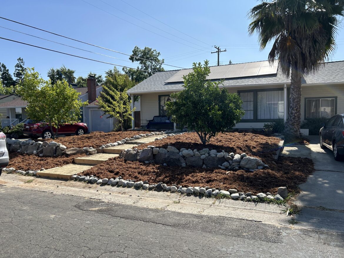 Got rid of the lawn