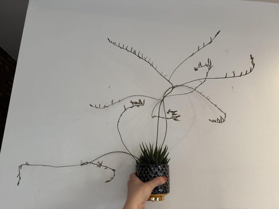 No idea what I did, but she seems happy.