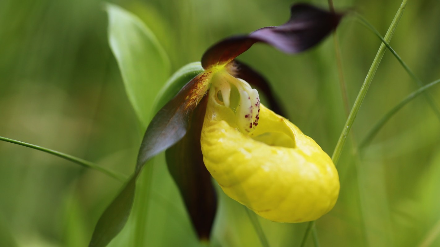 "We've got to keep it guarded for now."