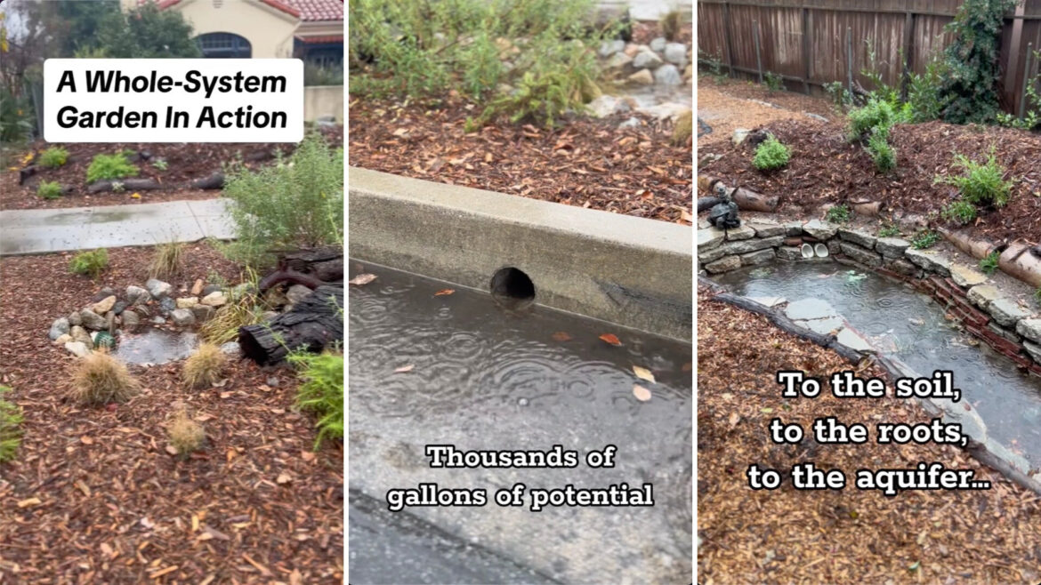 "So soothing to watch."