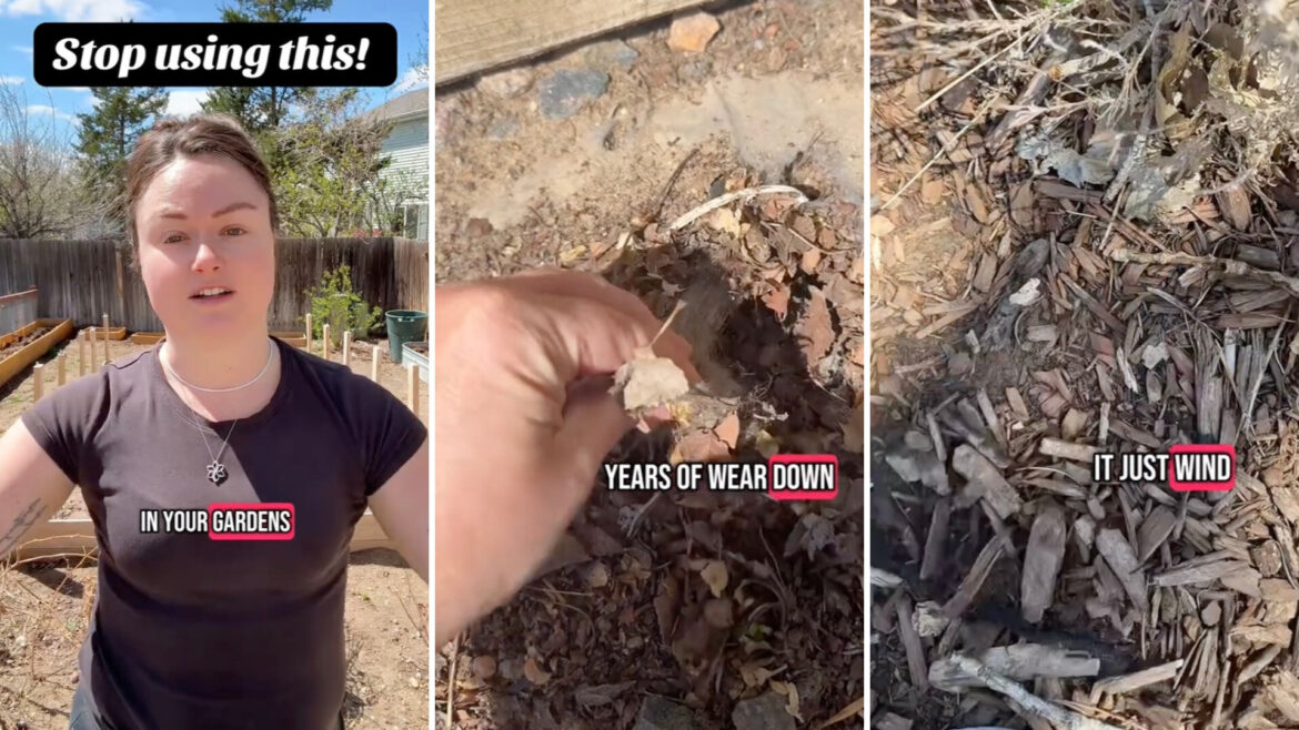 TikTok commenters were quick to agree.