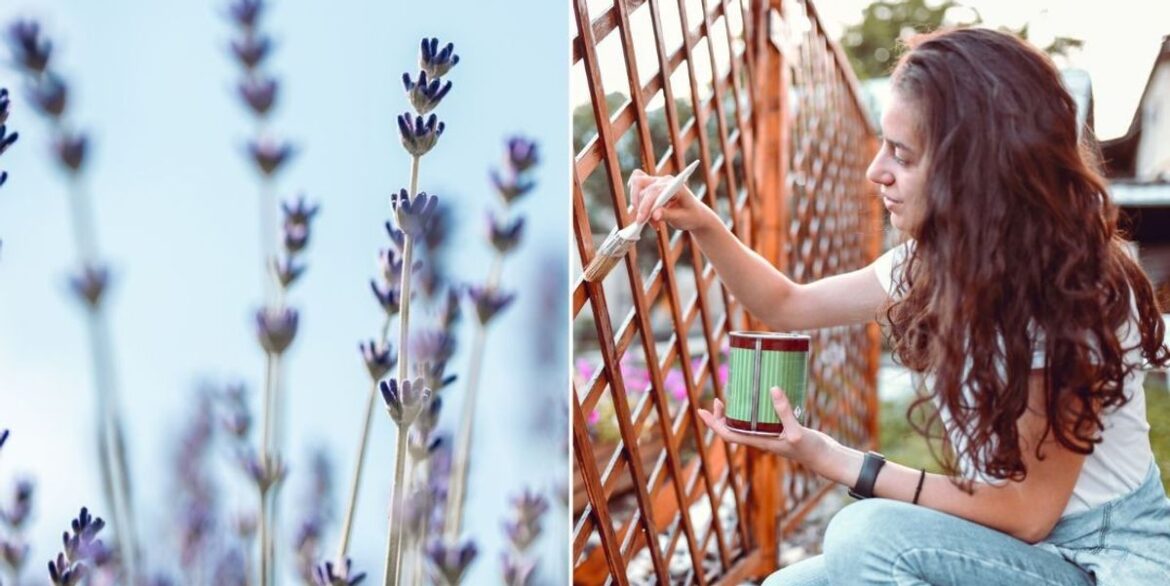 Britons can create an outdoor 'haven' with cheap hacks including 35p saviour, says expert