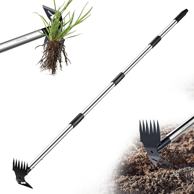 Long-handled weed puller tool.