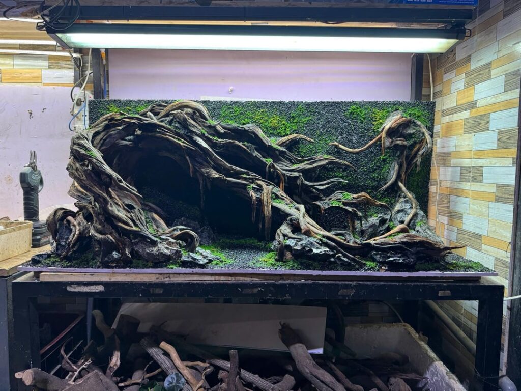 Wall layout with artificial moss. Thanks