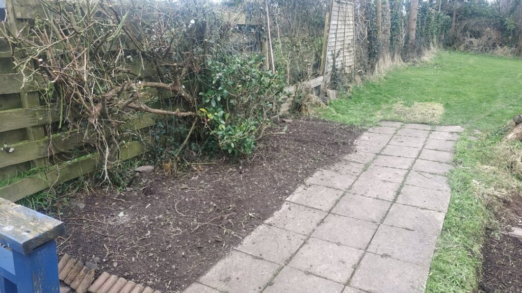 Cleared This Horrible Bed of Dockleaves and Bindweed then Got Lazy and Sprinkled a €3 Box of Lidl Wildflower Seeds