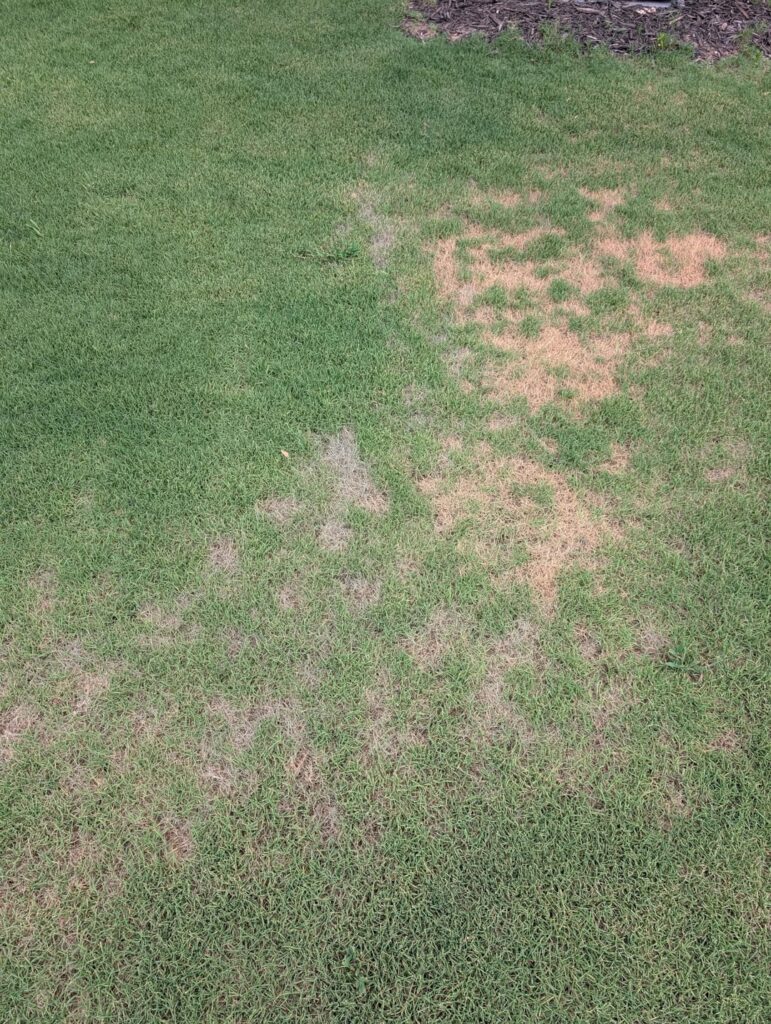 I come posting in shame.. I come posting in shame..