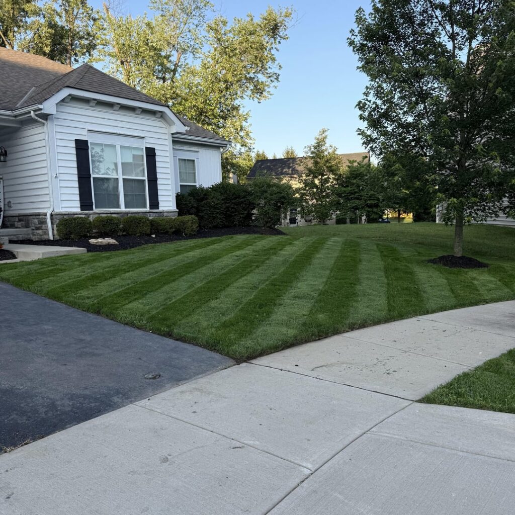 First summer being a lawn dad First summer being a lawn dad