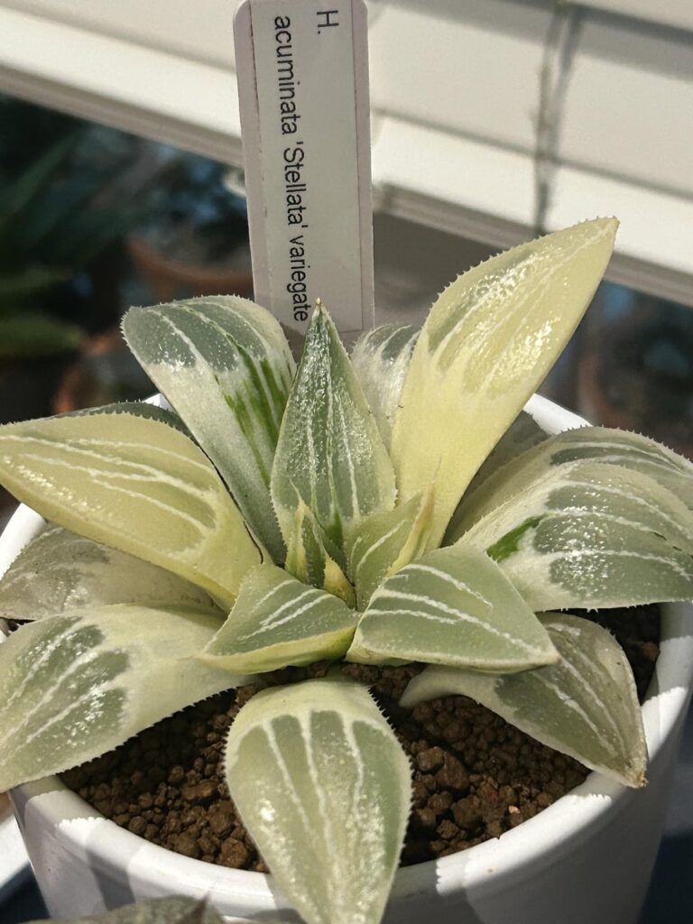 Any advice appreciated Any advice appreciated