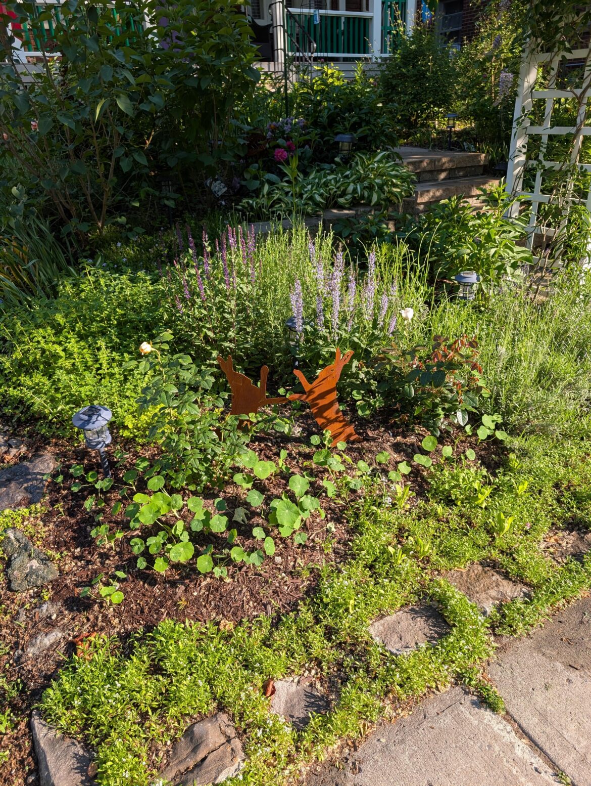 3rd year after replacing lawn!