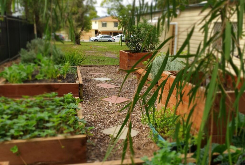 Maitland makes it easier to grow community gardens