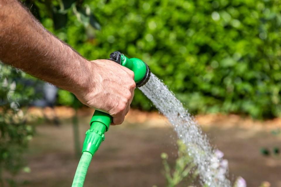 Person's hand holding a green garden hose spraying water.
