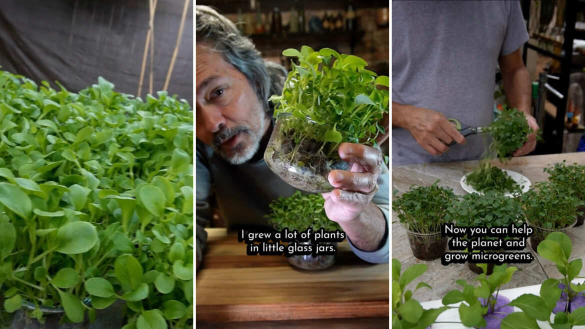 "So much respect for your goals."