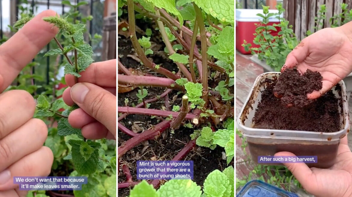 ‘Really encourage fresh, new growth’ "Thanks for sharing!"