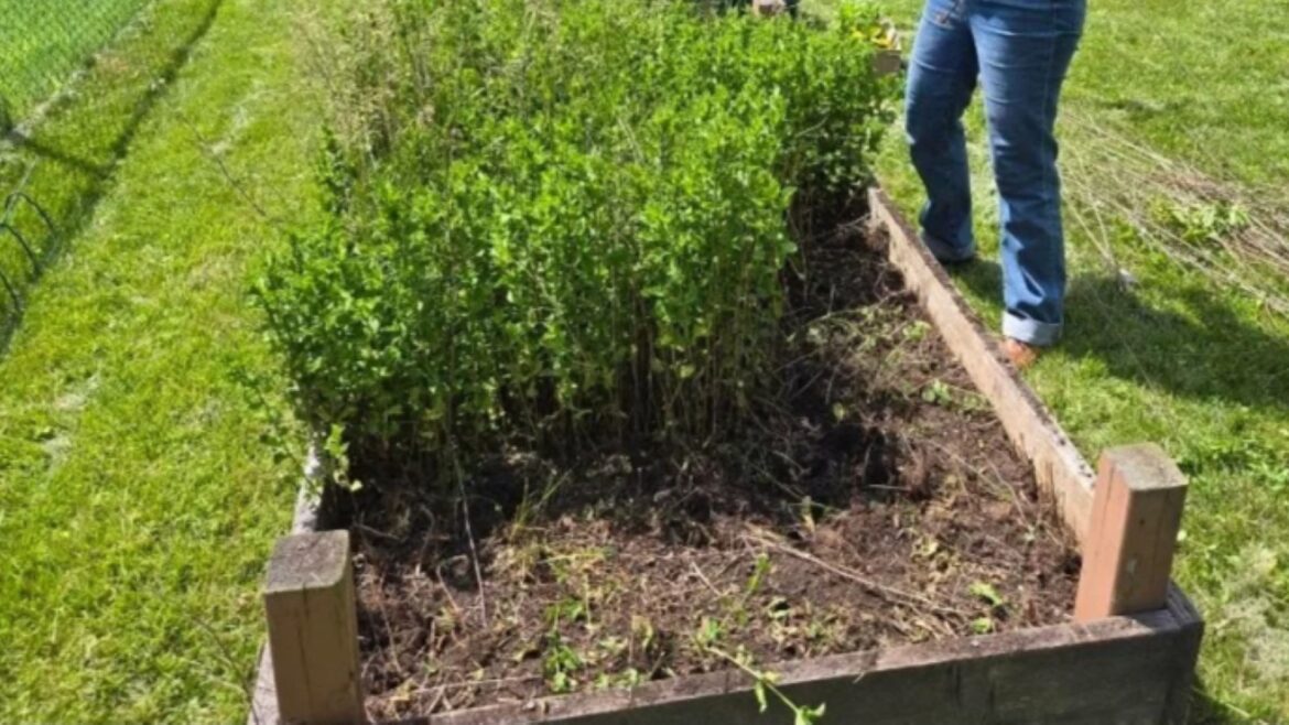 "I'm sure I will be fighting this for years to come."