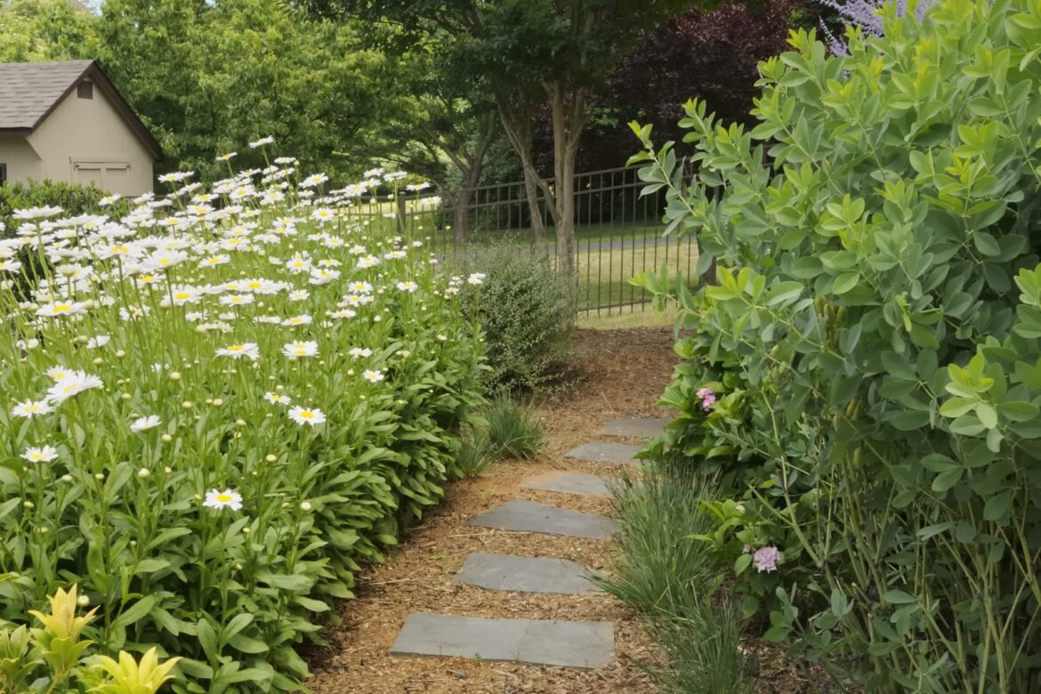 "It's finally starting to take off."