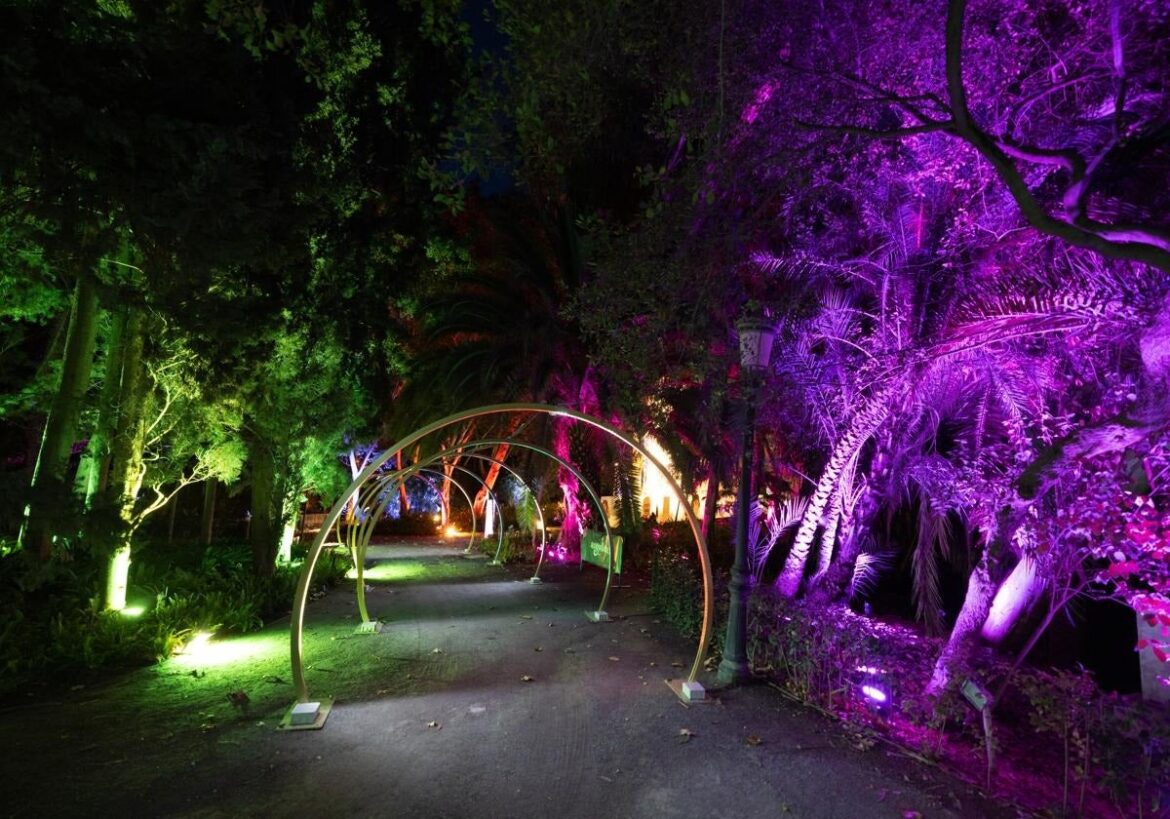 Malaga botanical garden will once again host a sound and light show this Christmas Malaga botanical garden will once again host a sound and light show this Christmas