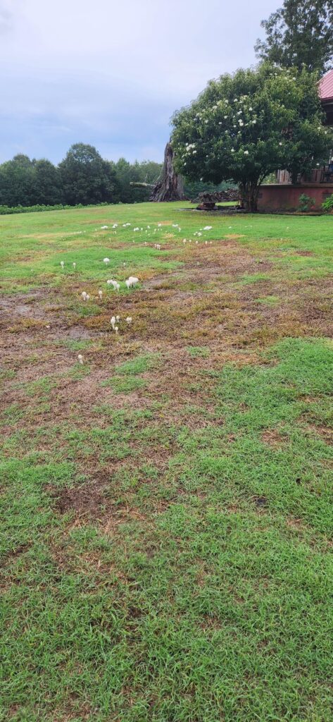 Two years ago this week, I decided to go to war. West TN