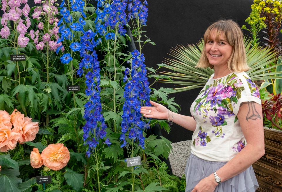 Woman at flower show displaying delphiniums and begonias.