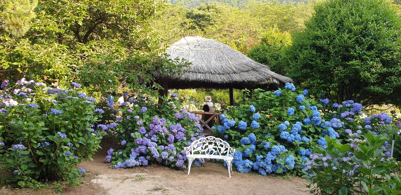 Manhwa Secret Garden (Korea Tourism Organization)