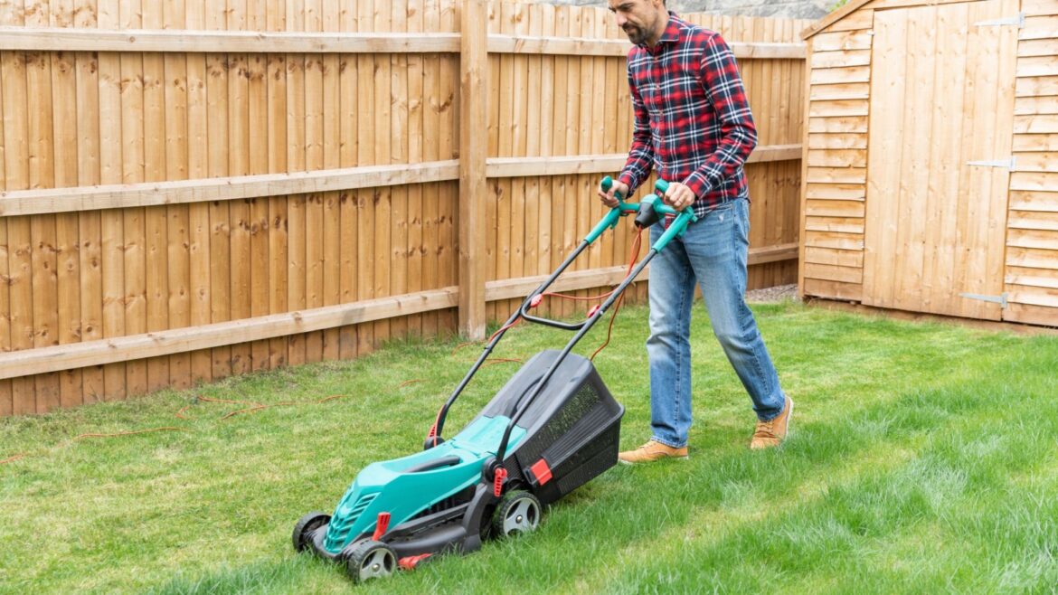 Mowing hack gardeners swear by keeps grass lush & green in hot weather – it stops weeds growing & means less watering Mowing hack gardeners swear by keeps grass lush & green in hot weather - it stops weeds growing & means less watering