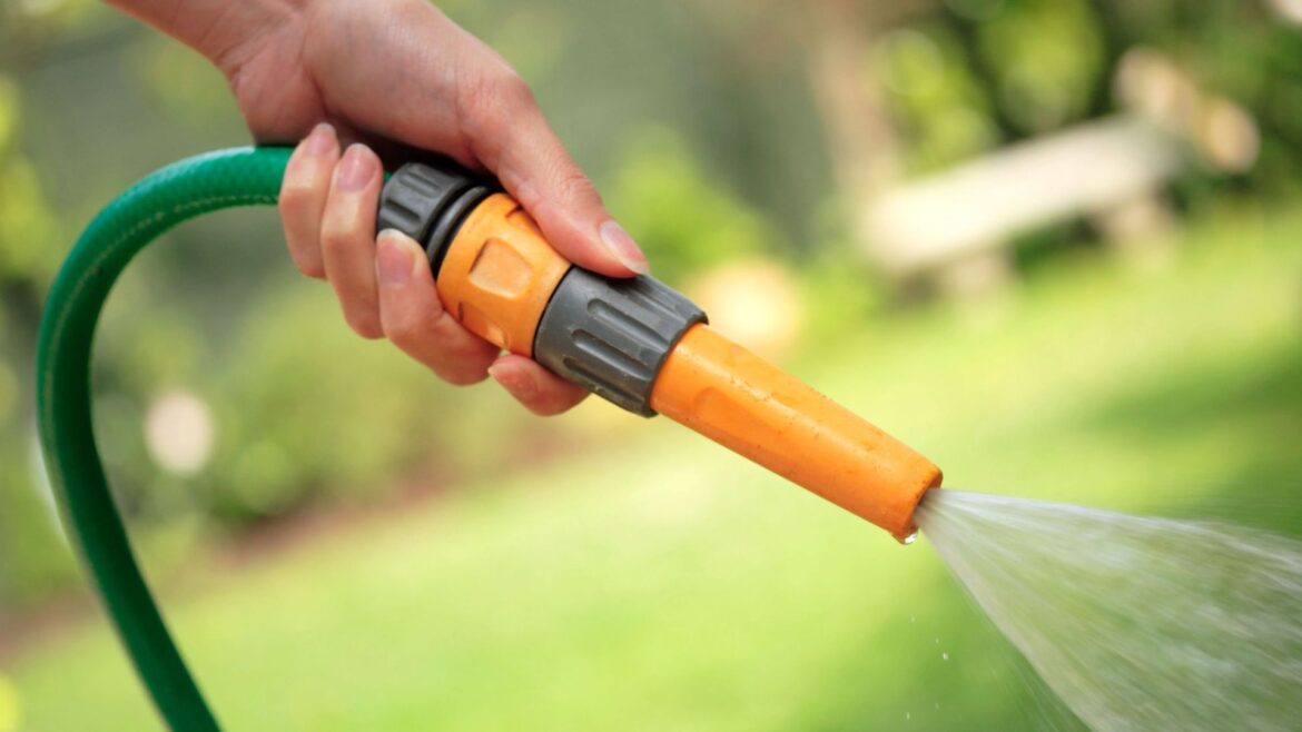 The 3 essential tasks gardeners should be doing this month to avoid £1000 fine during a hosepipe ban