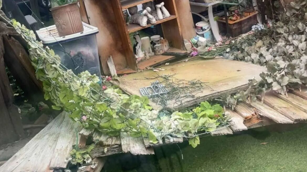 I got a fence to block out my neighbour's garden - there's so much mess the fence FELL & then they angered me even more