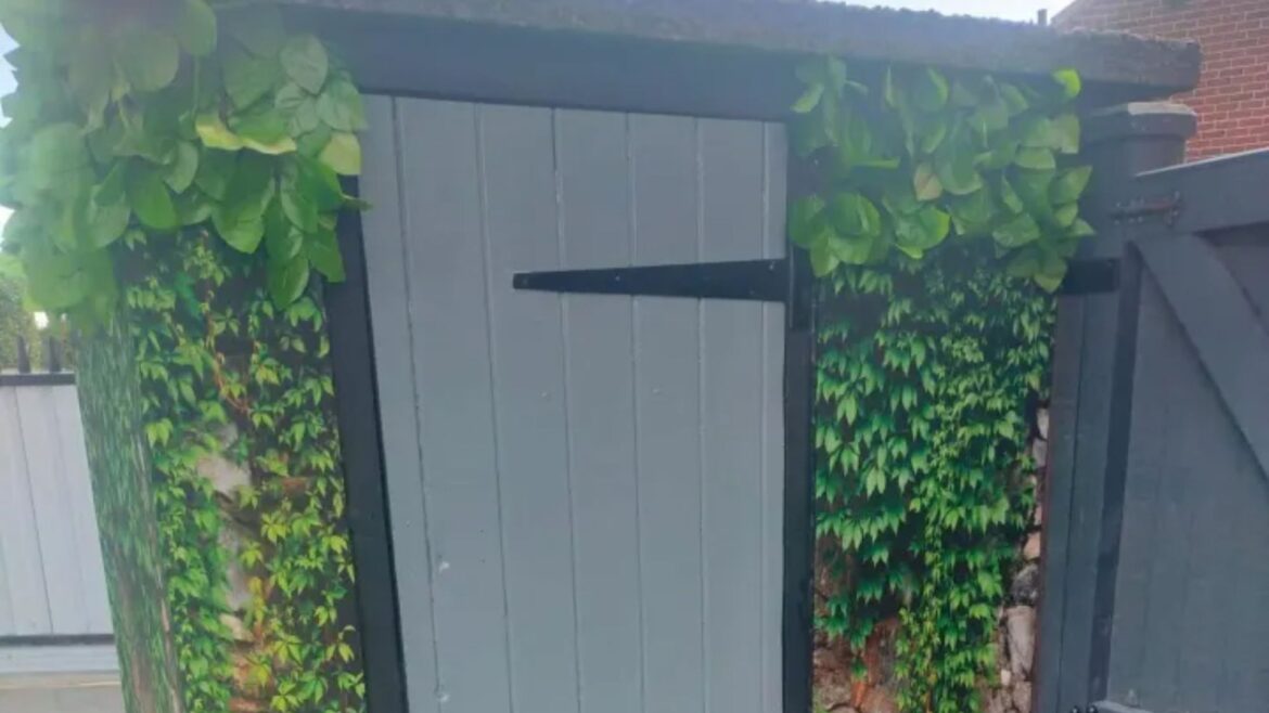 I turned my ugly outhouse into a stunning feature - folk say it’s the best £10 Shein transformation they’ve seen