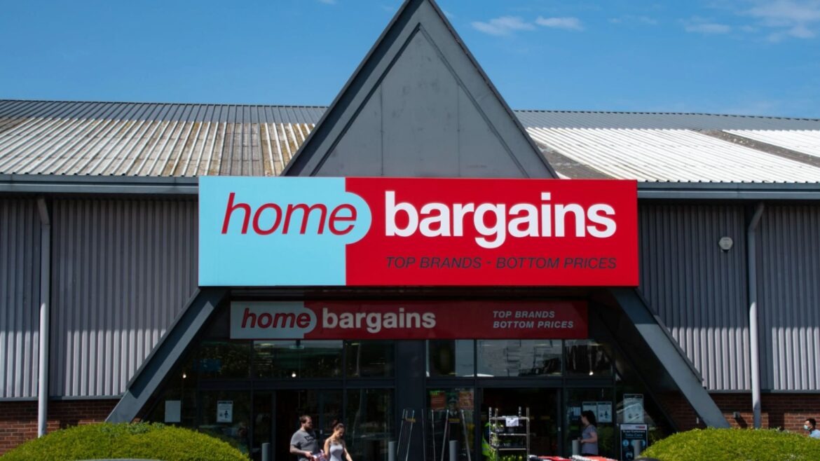 Home Bargains is selling a £3 buy that transforms your garden & adds privacy during the summer Home Bargains is selling a £3 buy that transforms your garden & adds privacy during the summer