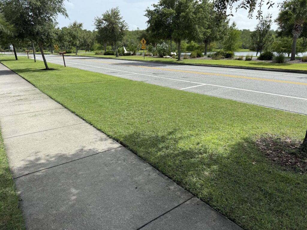 Made the switch to a reel mower