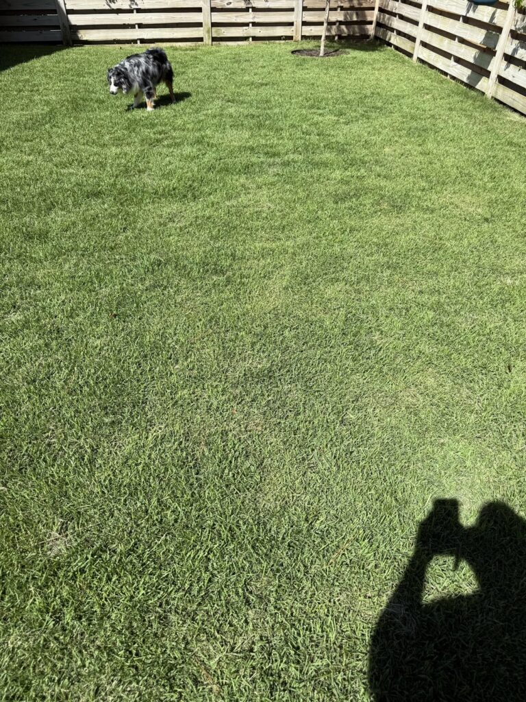 Sometimes, it can just be about perspective