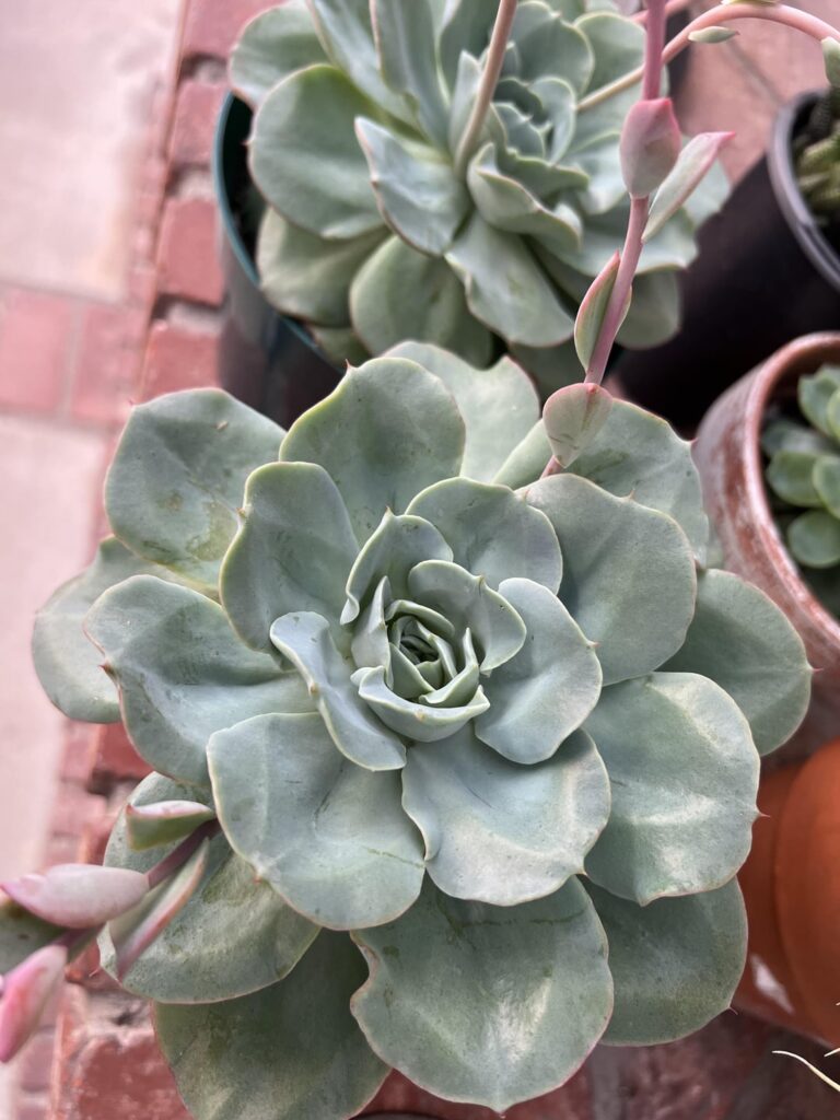 What’s this one?