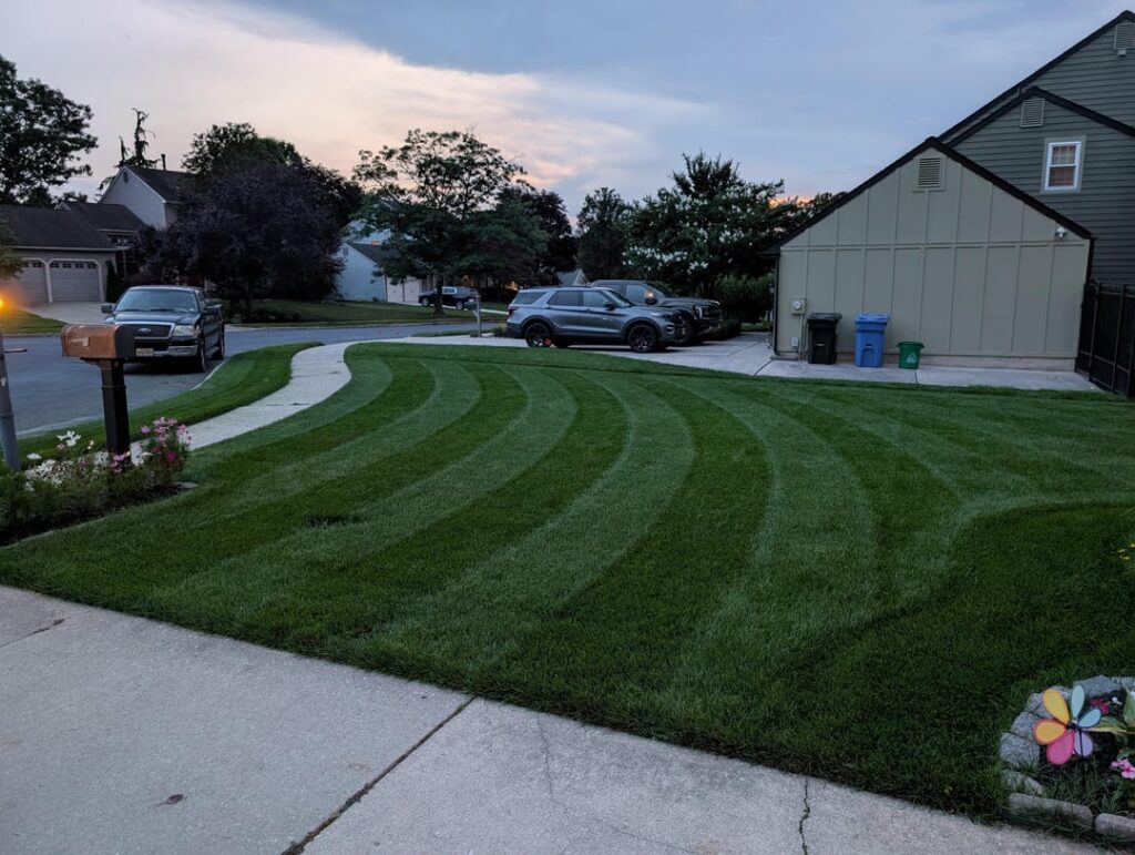 Day 3 of 100°+ in SNJ, grass is still killing it