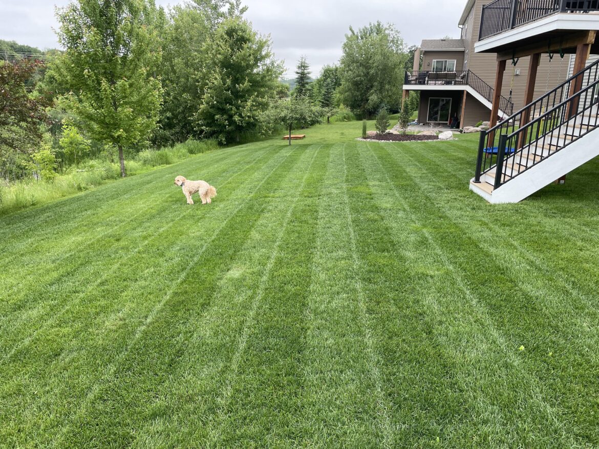 Got stripes I’m happy with!