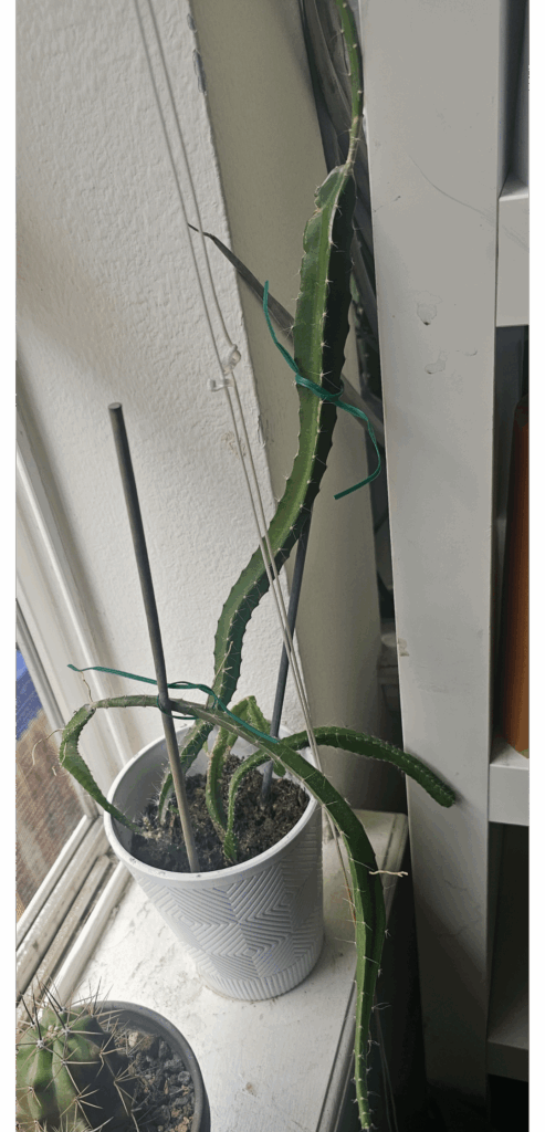 Please Help?