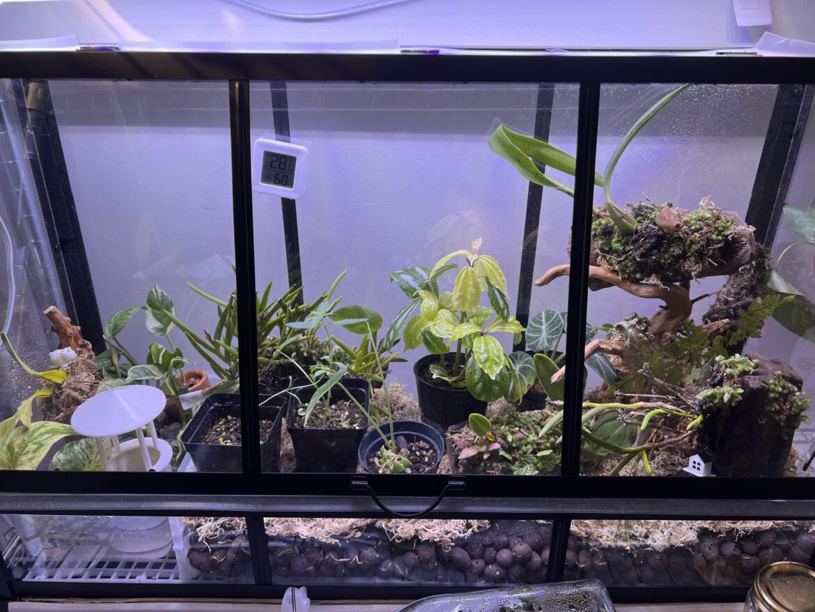 First background inquiry