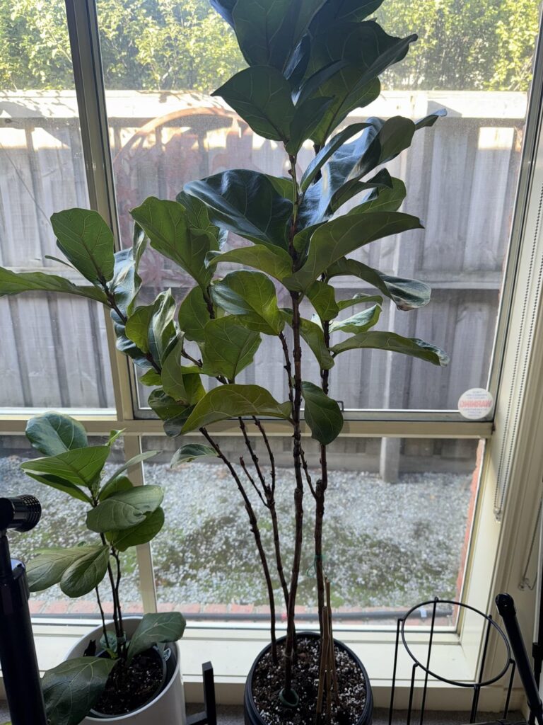 Should I Separate???