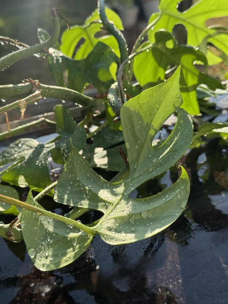 I can admit y’all were right I can admit y’all were right