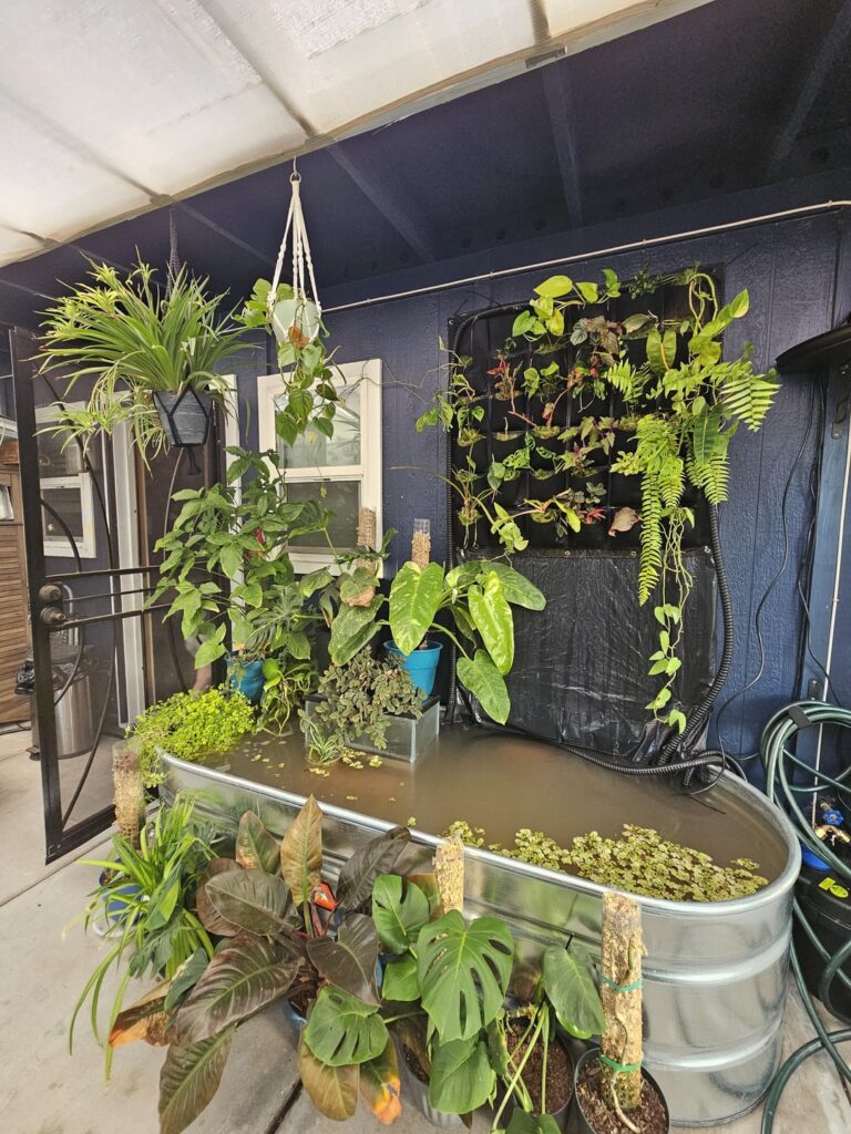 What a difference a month makes