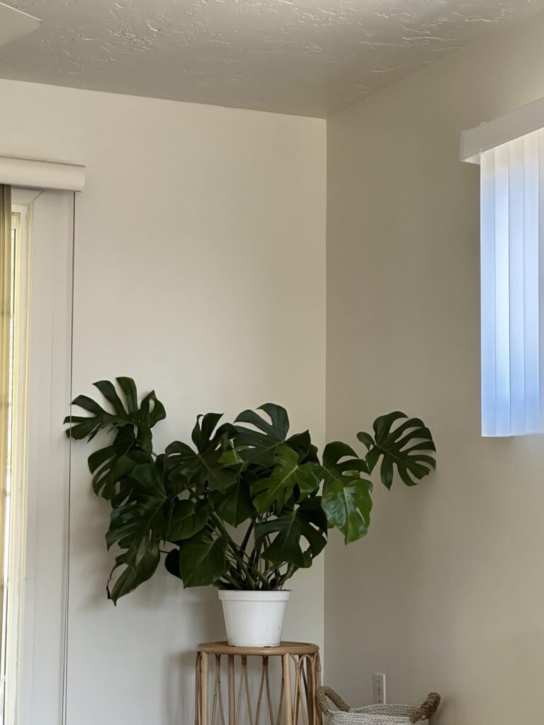 2 years of growth 🫶🏼