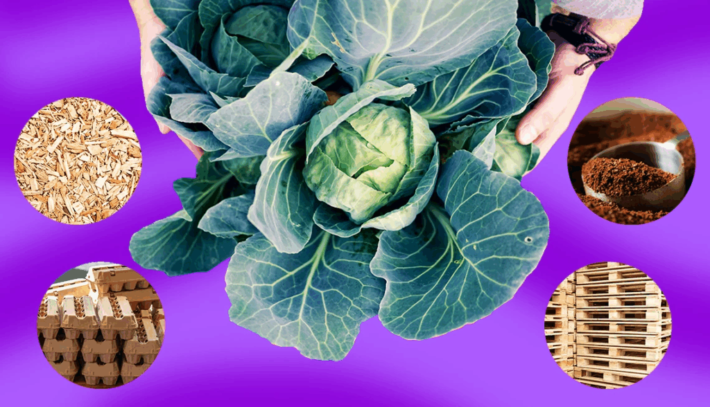 Find Out How to Get Free Garden Supplies Find Out How to Get Free Garden Supplies