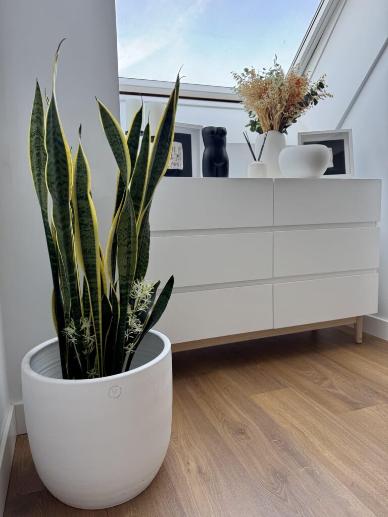 After 3 years, the first bloom!