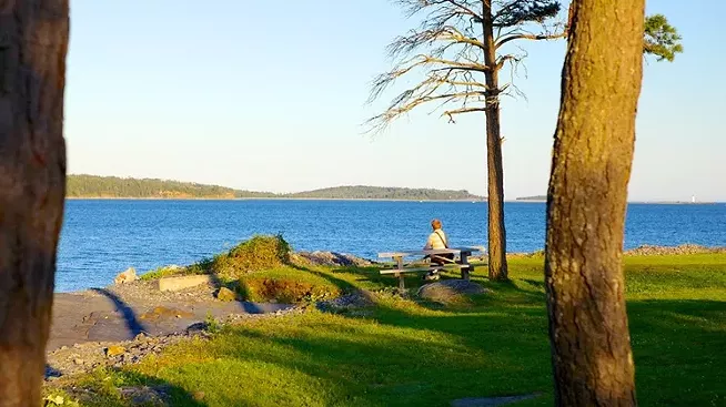 Halifax's best picnic spots: From the public gardens to the beaches