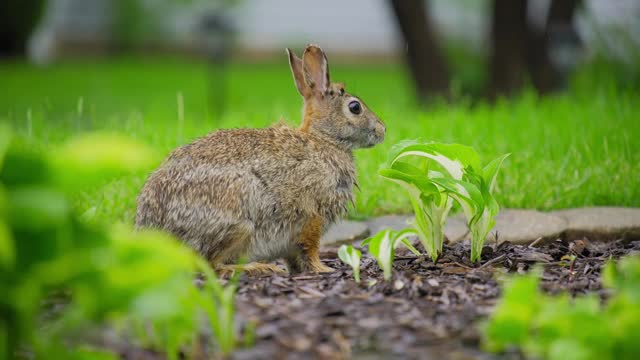 Image no longer available