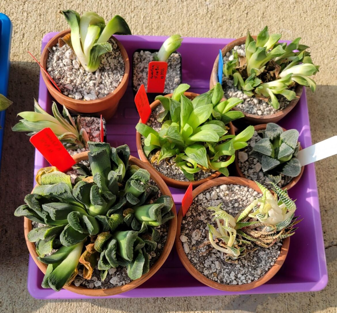 Lost Mail Update Lost Mail Update