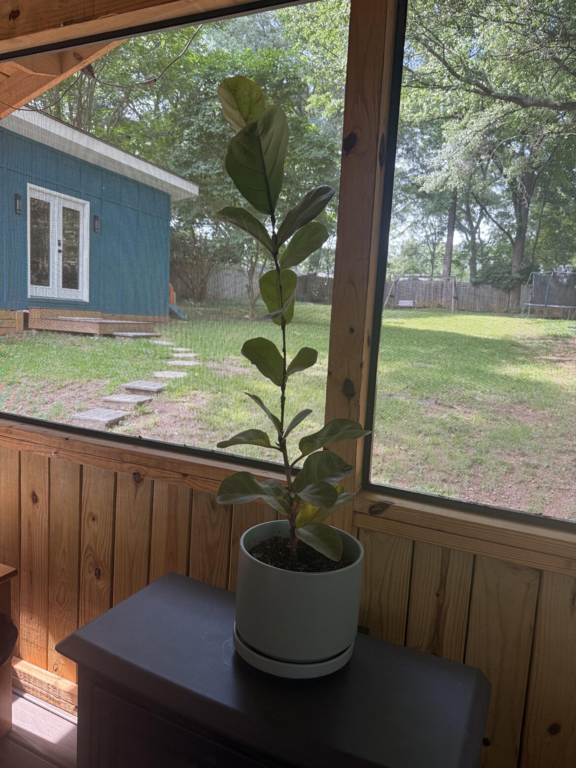 Advice needed